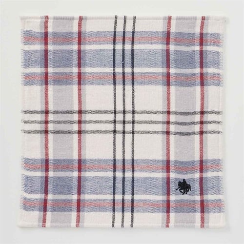 POLO BRITISH COUNTRY SPIRIT(ポロ・ビーシーエス) 箱入りタオルハンカチ(ウスチャ-フリー)