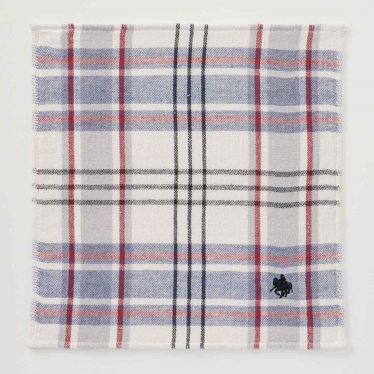POLO BRITISH COUNTRY SPIRIT(ポロ・ビーシーエス) 箱入りタオルハンカチ(ウスチャ-フリー)
