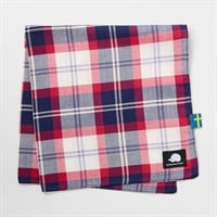 CK 様限定パネル【254】 ハンカチ受付　5/16 スカンジナビアン ハンカチ CK メンズ | イオンスタイル