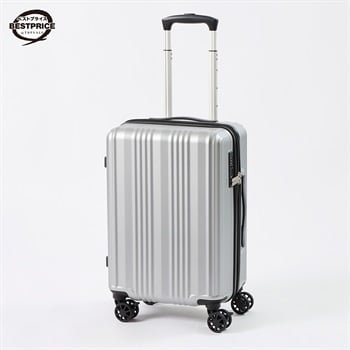 トップバリュ ベストプライス(TOPVALU BESTPRICE) シンプルジッパーキャリーS(シルバー-S)