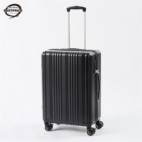 トップバリュ ベストプライス(TOPVALU BESTPRICE) シンプルジッパーキャリーM