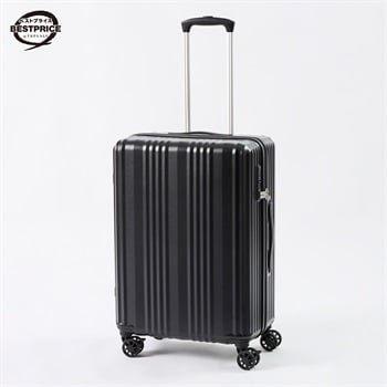 トップバリュ ベストプライス(TOPVALU BESTPRICE) シンプルジッパーキャリーM(ブラック-M)