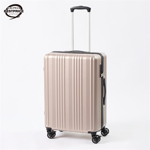 トップバリュ ベストプライス(TOPVALU BESTPRICE) シンプルジッパーキャリーM(シャンパンゴールド-M)