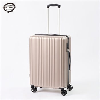 トップバリュ ベストプライス(TOPVALU BESTPRICE) シンプルジッパーキャリーM(シャンパンゴールド-M)