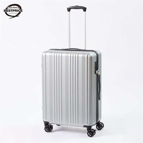 トップバリュ ベストプライス(TOPVALU BESTPRICE) シンプルジッパーキャリーM(シルバー-M)