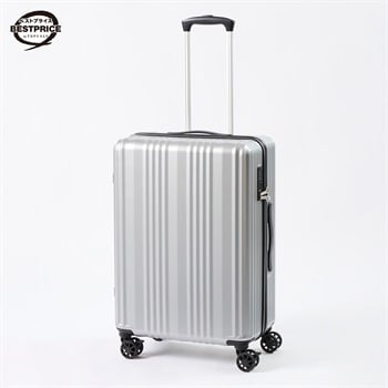 トップバリュ ベストプライス(TOPVALU BESTPRICE) シンプルジッパーキャリーM(シルバー-M)