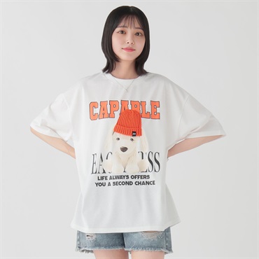 ニット帽いぬTシャツ レディス Doublefocus (ダブルフォーカス)(シロ-S)