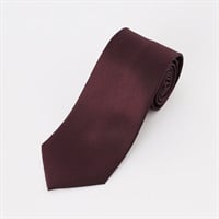 Tern シルクソリッドネクタイ メンズ Tern(ターン)(コイアカ)