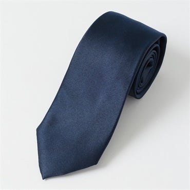 Tern シルクソリッドネクタイ メンズ(Ａコイアオ)