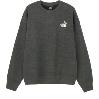 THE NORTH FACE(ノースフェイス) ズーピッカークルー<06 V従販>(AG-LL)