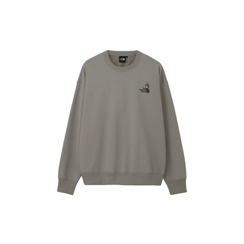（9月中旬以降 取扱い開始予定）THE NORTH FACE(ノースフェイス) Zoo Picker Crew
