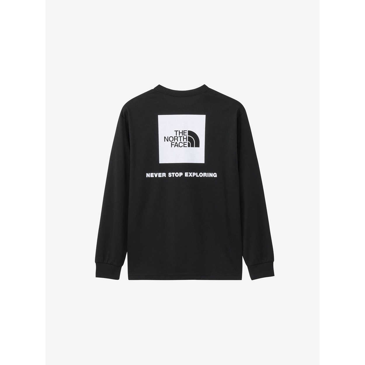 THE NORTH FACE(ノースフェイス) NT32442 L/S BACK SQ LOGO T<09 EC従販>(K2-L)
