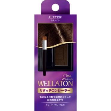 ウエラトーン　リタッチコンシーラー ダークブラウン 10個セット ウエラトーン リタッチ コンシーラー ダークブラウン 2.1g ウエラ