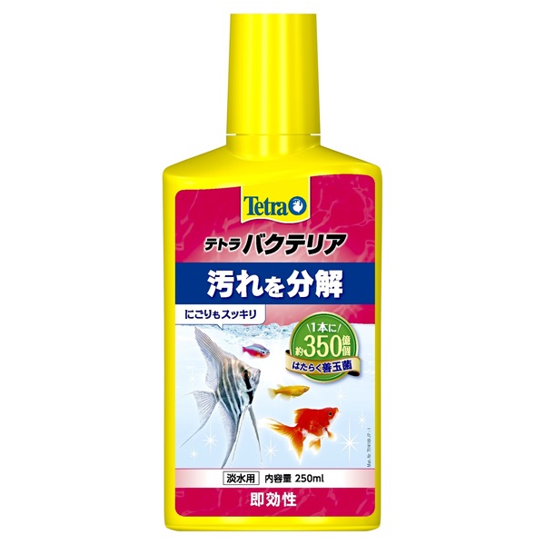 テトラ バクテリア 250ml Tetra スペクトラム ブランズ ジャパン(250ml)