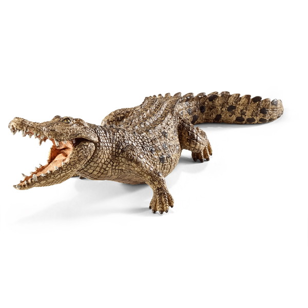 ワニ Insert the microchip into the crocodile - YouTube