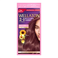 ウエラトーン 2+1 クリームタイプ 1セット ウエラ WELLA ウエラジャパン 【医薬部外品】(9PB かなり明るいピンクブラウン)