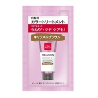 ウエラ ウエラトーン エッセンスイン カラートリートメント サシェ 15ml WELLA ウエラジャパン 【医薬部外品】(キャラメルブラウン)