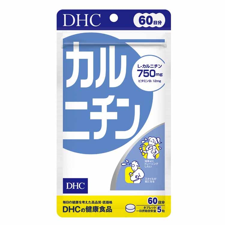 DHC 英日メディカルコース 送料込 DHC 持続型ビタミンC 60日分 240粒 ディーエイチシー DHC【栄養機能