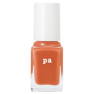 ネイルカラー S019 6ml ピーエーネイルコレクティブ pa nail
