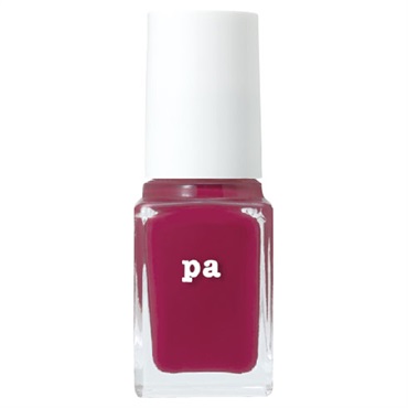ネイルカラー S045 6ml ピーエーネイルコレクティブ pa nail