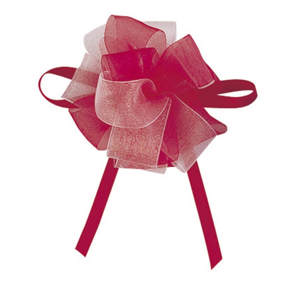 新作♡リバティ オーガンジーリボン♡ オーガンジーボウリボン R | イオンスタイルオンライン 衣料品