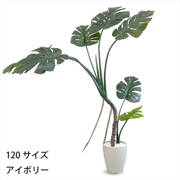 フェイクグリーン　モンステラ
