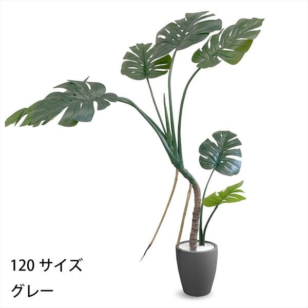 フェイクグリーン モンステラ | イオンスタイルオンライン 衣料品
