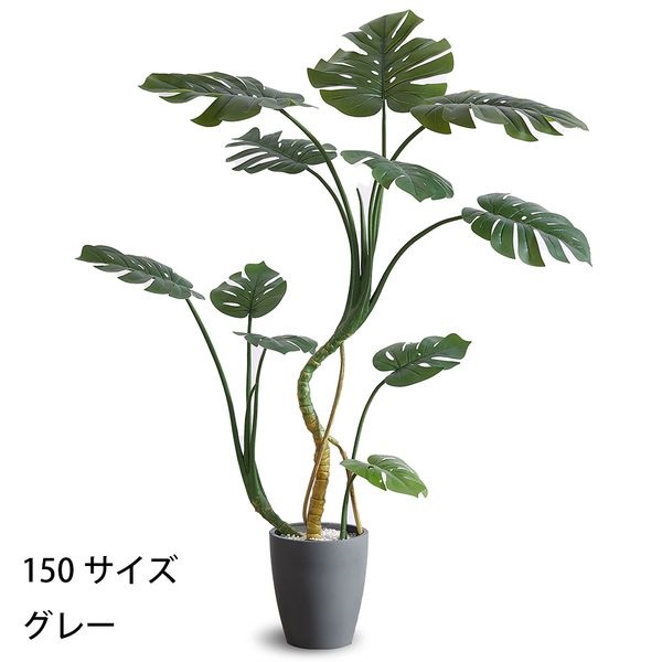 フェイクグリーン　モンステラ(グレー-150cm)