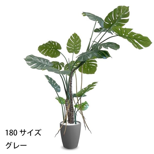 フェイクグリーン　モンステラ(グレー-180cm)