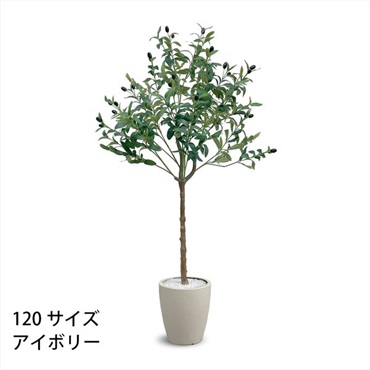 フェイクグリーン オリーブ | イオンスタイルオンライン 衣料品