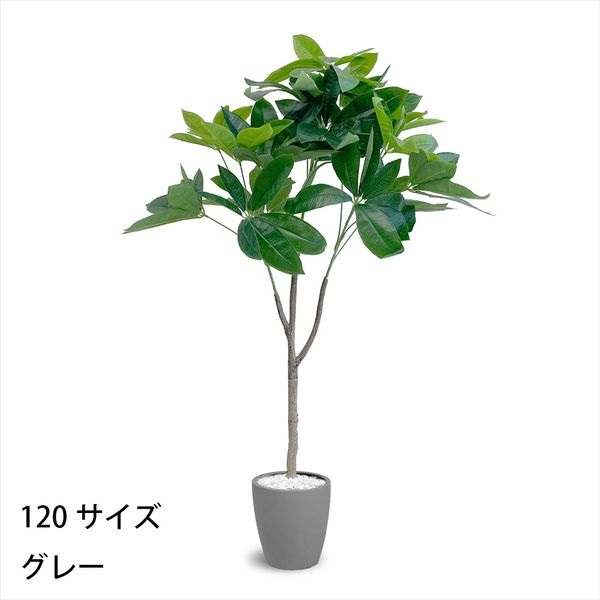 フェイクグリーン 120cm～130cmほど フェイクグリーン パキラ | イオンスタイルオンライン 衣料品・暮らし