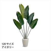 フェイクグリーン　ストレリチア(アイボリー-120cm)