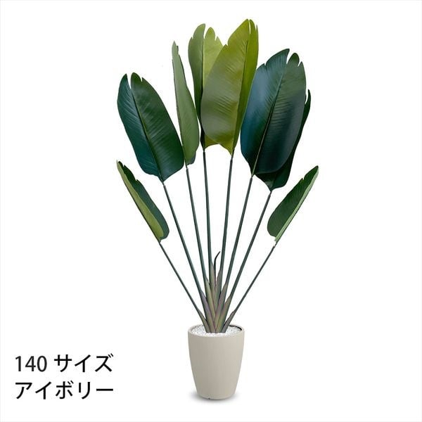 フェイクグリーン　ストレリチア(アイボリー-140cm)