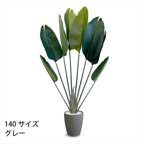 フェイクグリーン　ストレリチア(グレー-140cm)