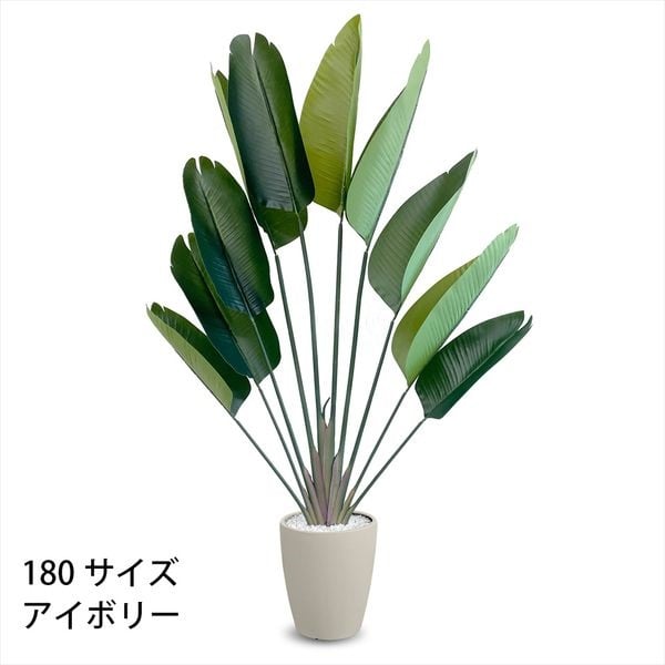 フェイクグリーン　ストレリチア(アイボリー-180cm)