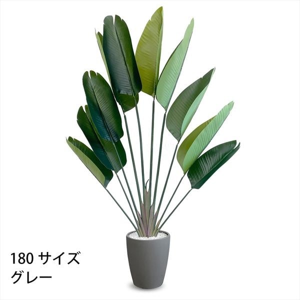 フェイクグリーン　ストレリチア(グレー-180cm)