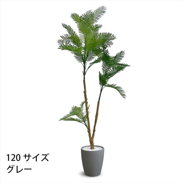 フェイクグリーン エバーフレッシュ | イオンスタイルオンライン