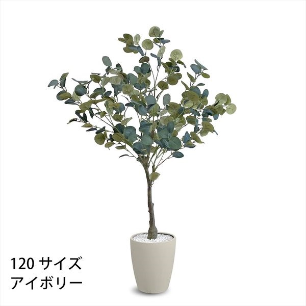 フェイクグリーン　ユーカリ フェイクグリーン ユーカリ | イオンスタイルオンライン 衣料品