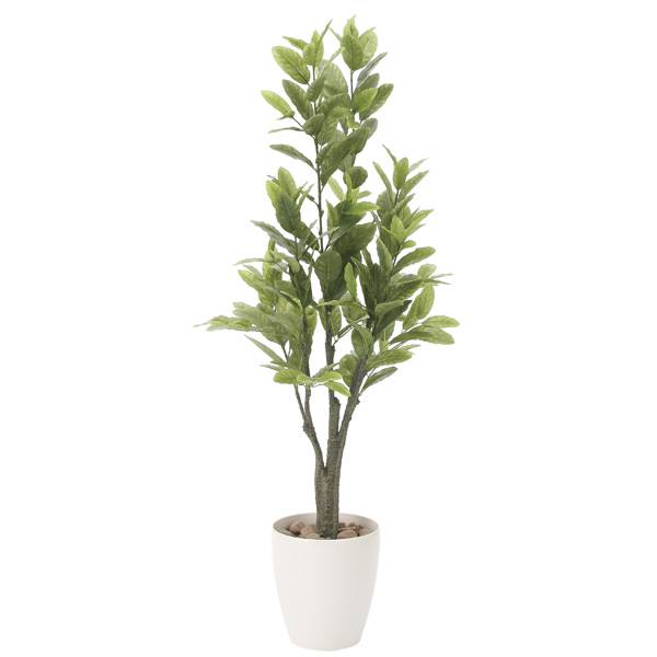 レモン1.25造花 アートクリエイション 光の楽園 | イオン