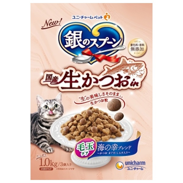 銀座カリー　銀のスプーン 明治 銀座カリー 辛口 1セット(5個) - アスクル