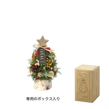 ナチュラルツリーオブジェS フォレストレッド | イオンスタイル