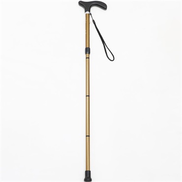 スタイルステッキ 伸縮折りたたみ 軽量 WATAKI | イオンスタイル