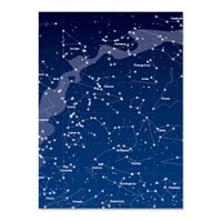 アーティミス フリーサイズブックカバー(星座)
