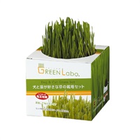 グリーンラボ 犬と猫が好きな草の栽培セット 1セット GREEN Labo エイムクリエイツ(1セット)