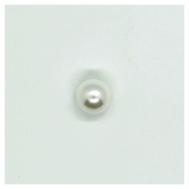 パールボタン PI‐343 #00 | イオンスタイルオンライン 衣料品
