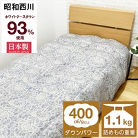 グースダウン羽毛掛ふとん ダウン90% イオントップバリュ 定価39800円