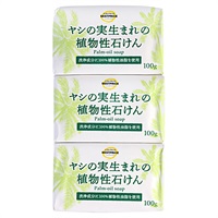 ヤシの実生まれの植物性石けん 100g×3個 トップバリュベストプライス(100gX3個)