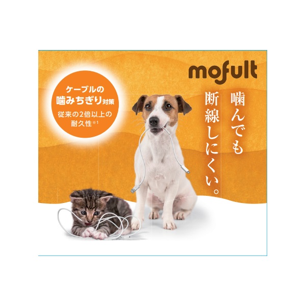 ペットが噛んでも断線しにくいケーブル USB Type-C to USB Type-Cケーブル/USB Power Delivery対応 ホワイト PET-CCMT15WH エレコム(PET‐CCMT15WH)
