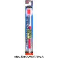 ハブラシ トップバリュ(歯学博士ふつう)
