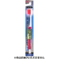 ハブラシ トップバリュ(歯学博士かため)